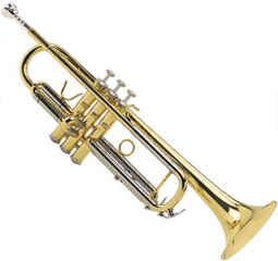 #1: Trumpet #1: Trumpet