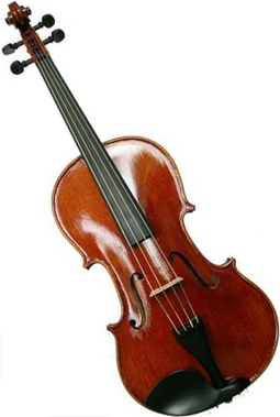 #1: Viola #1: Viola