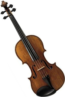 #1: Violin #1: Violin